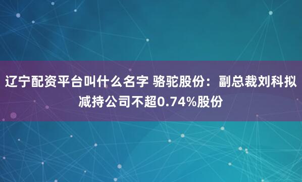 辽宁配资平台叫什么名字 骆驼股份:副总裁刘科拟减持公司不超0.74%股份
