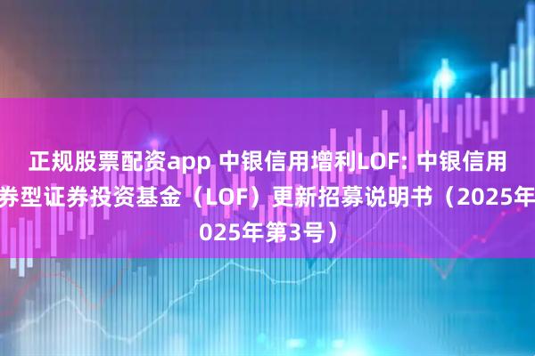 正规股票配资app 中银信用增利LOF: 中银信用增利债券型证券投资基金（LOF）更新招募说明书（2025年第3号）
