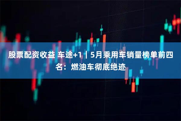 股票配资收益 车途+1｜5月乘用车销量榜单前四名：燃油车彻底绝迹